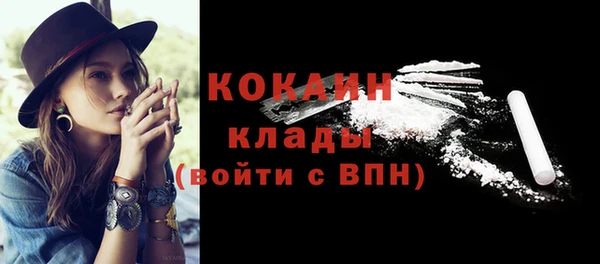 сатива Баксан