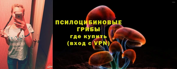 молекула духа Дедовск