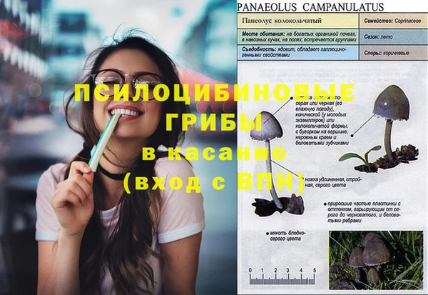 ешки Балахна