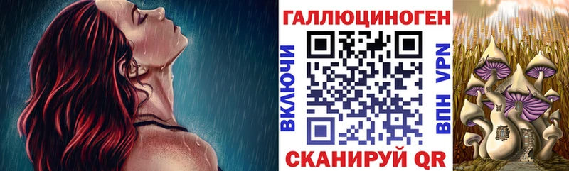 Псилоцибиновые грибы мицелий цены наркотик Борисоглебск